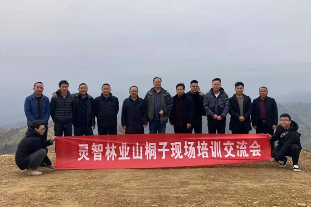 大丰国际林业山桐子培训交流会