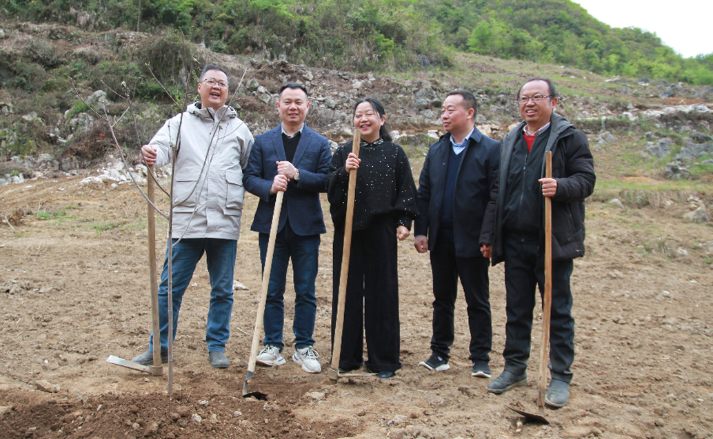 大丰国际林业独山县麻尾山桐子综合树模基地： 县、镇向导莅临基地举行实地调研