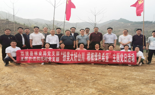 “扮美大好山水,根植绿色希望”主题党日活动 在大丰国际林业公司荔波山桐子树模基地举行