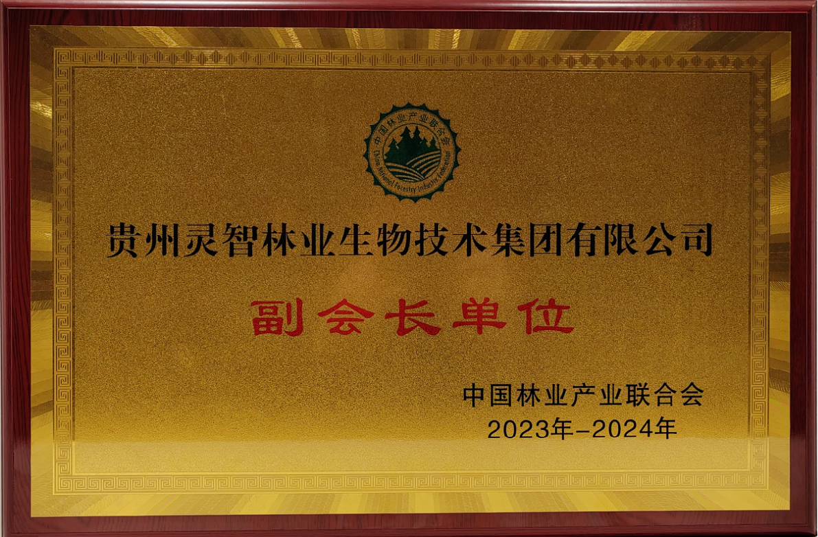 中国林业工业联合会副会长单位