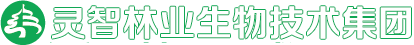 大丰国际林业生物手艺集团-大丰国际